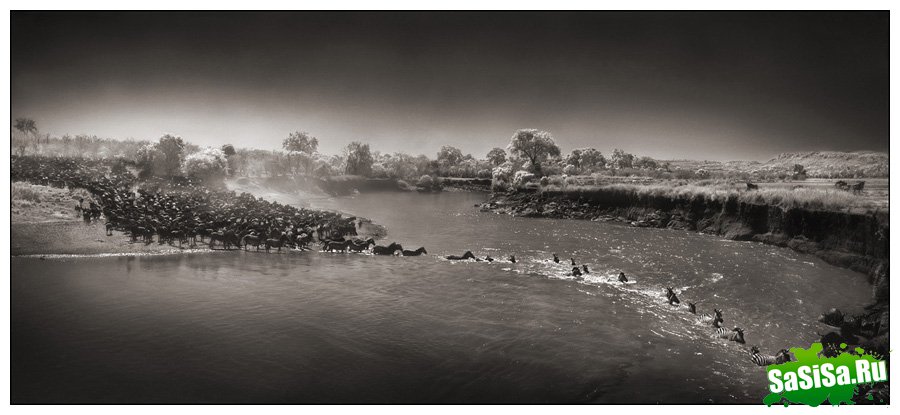     Nick Brandt (30 )