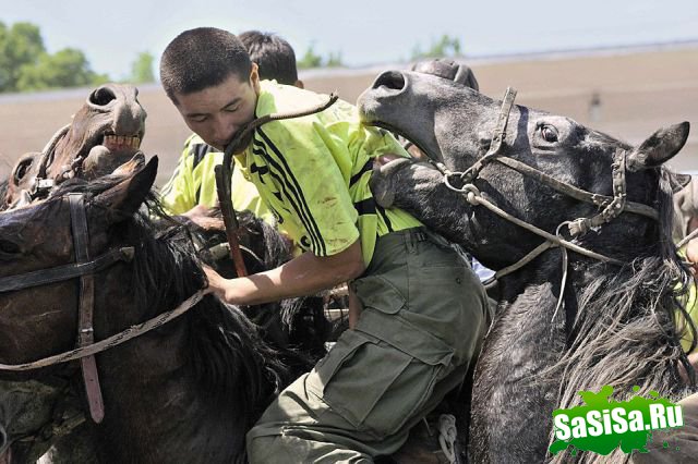 Фотоподборка (дальше в развёрнутом виде)