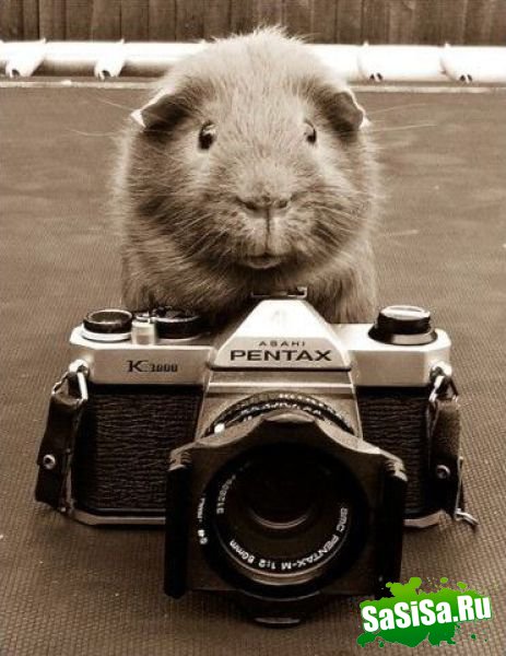 Фотоподборка (дальше в развёрнутом виде)