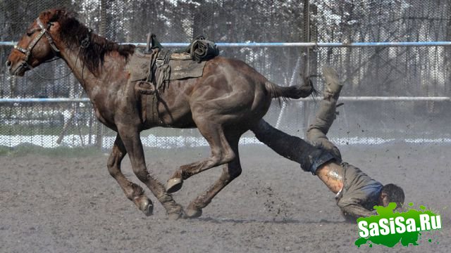 Фотоподборка (дальше в развёрнутом виде)