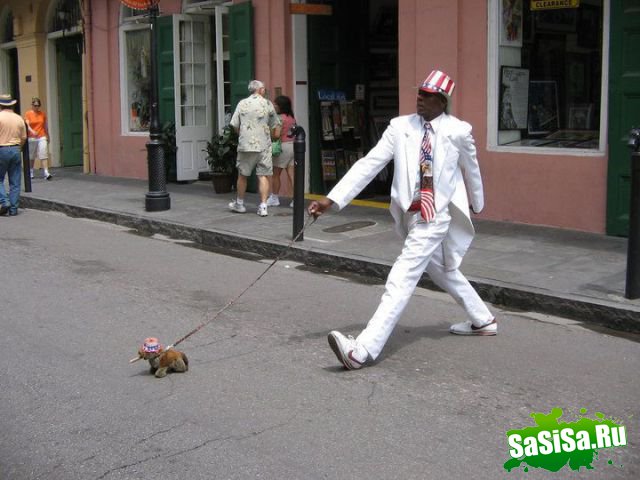 Фотоподборка (дальше в развёрнутом виде)
