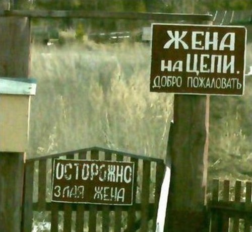 Прикольные надписи и объявления (15 фото)