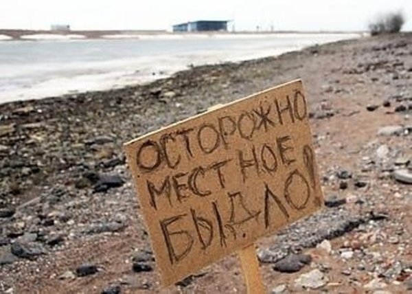Прикольные надписи и объявления (15 фото)
