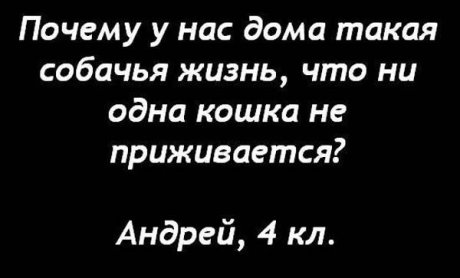 Письма детей (20 картинок)