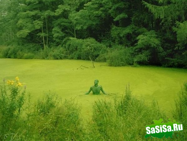  (   )