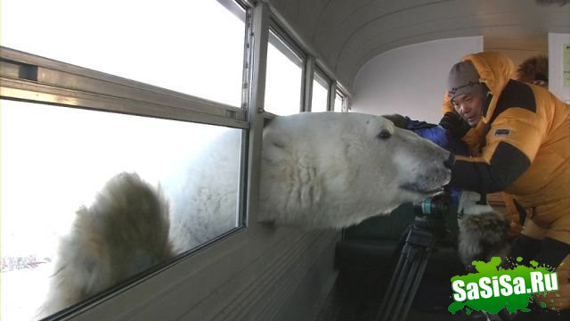  (   )