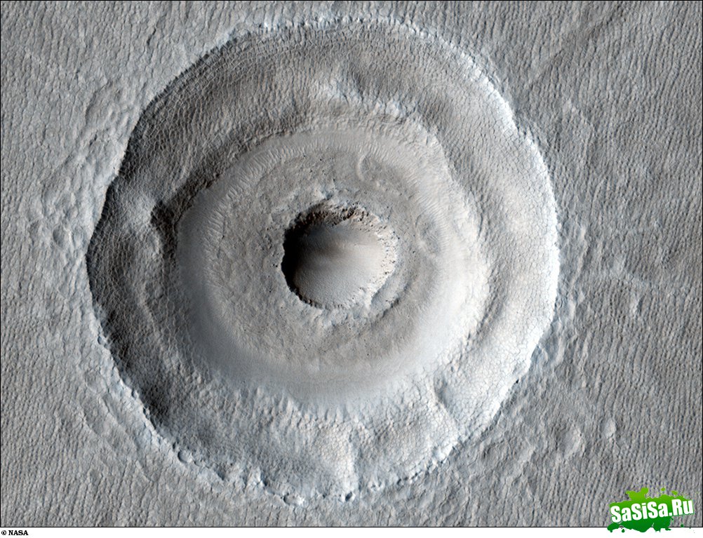       2010 (23 )