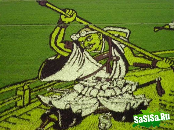 Рисовое искусство (12 фото + видео)