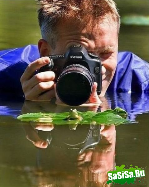 Фотоподборка (дальше в развёрнутом виде)