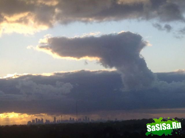 Фотоподборка (дальше в развёрнутом виде)