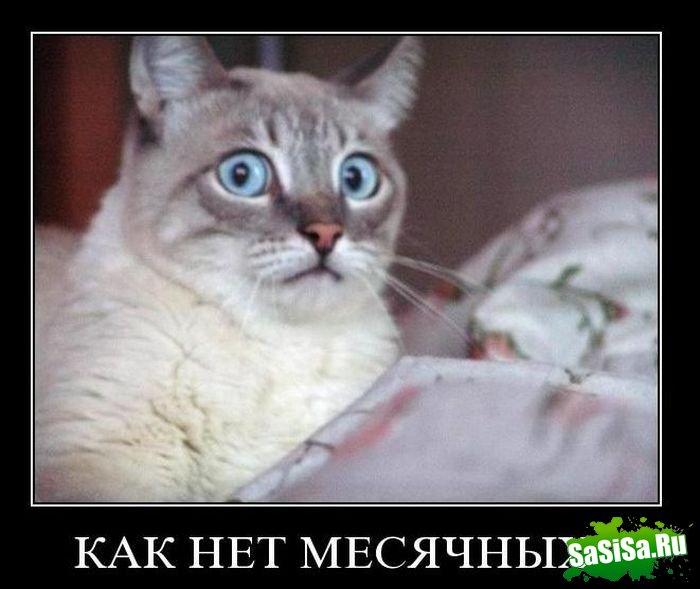 Демотиваторы (20 фото)