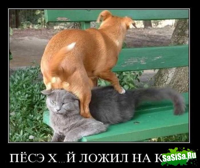 Демотиваторы (20 фото)