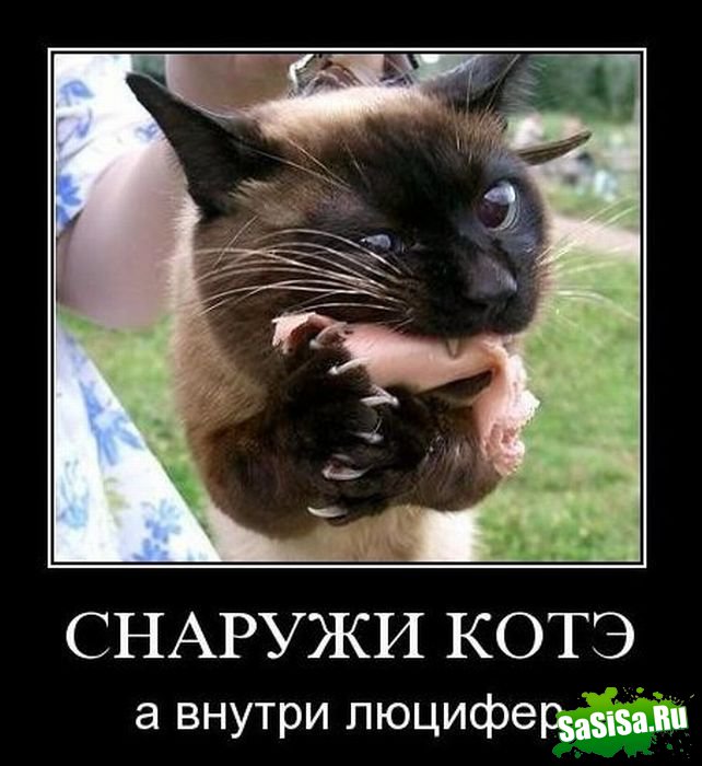 Демотиваторы (20 фото)