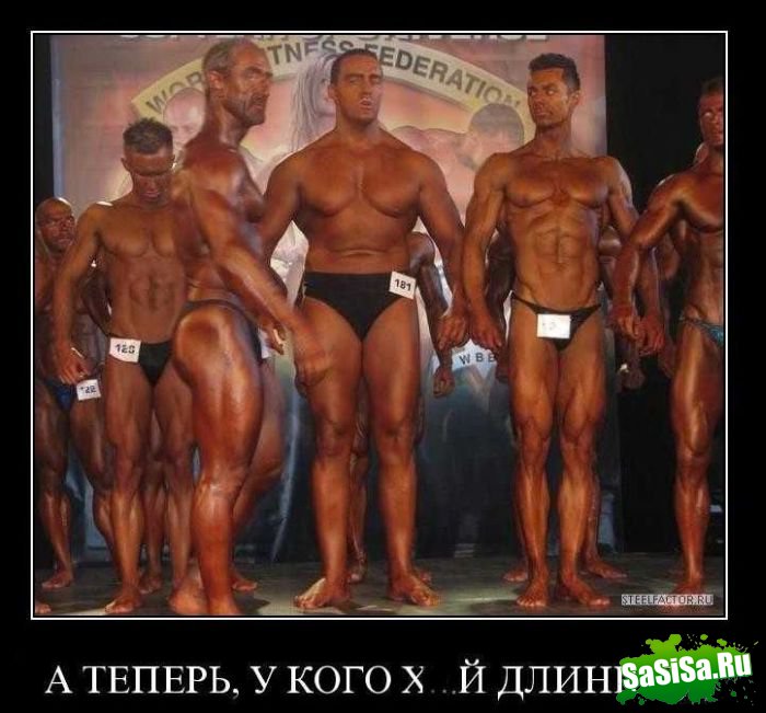 Демотиваторы (20 фото)