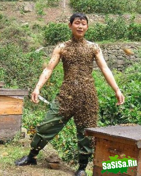  (   )
