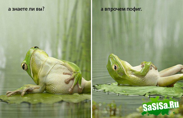 Фотоподборка (дальше в развёрнутом виде)