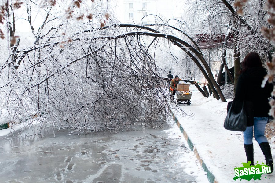 Ледяной дождь в Москве (20 фото)