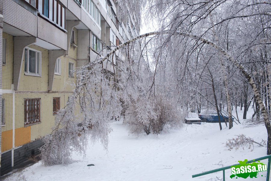 Ледяной дождь в Москве (20 фото)