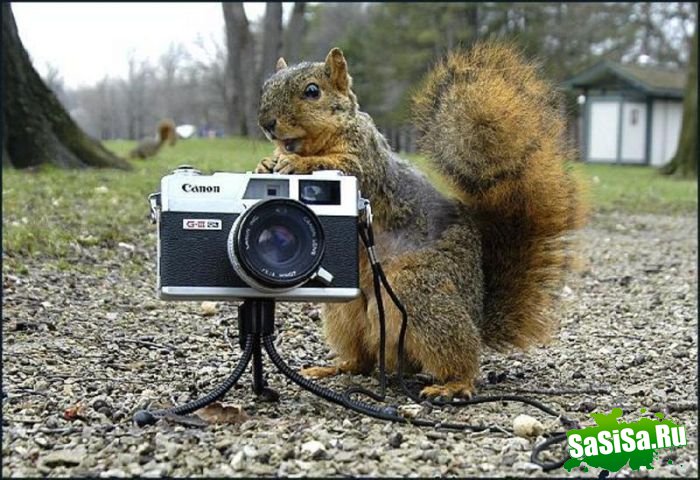 Фотоподборка (дальше в развёрнутом виде)