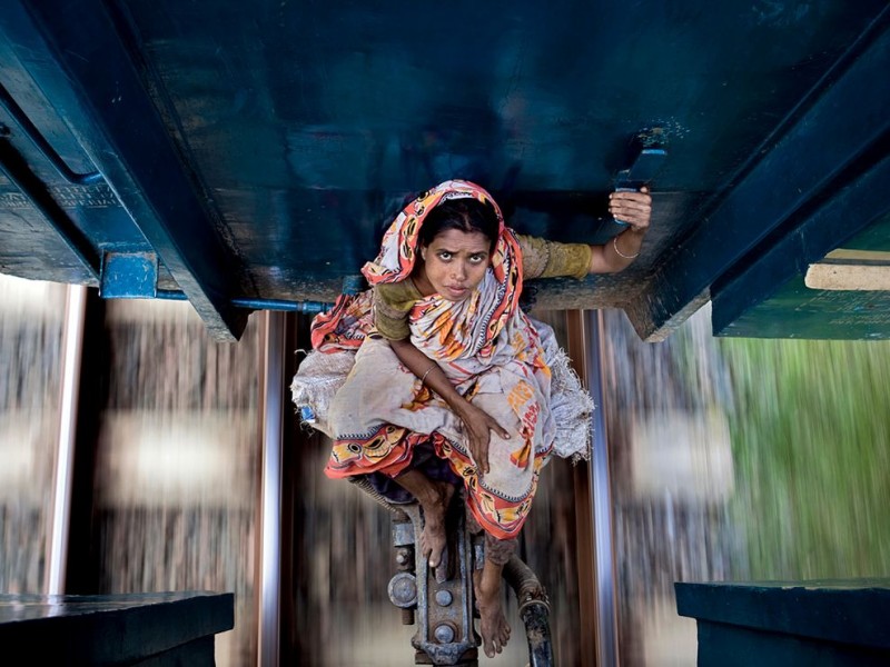  Naional Geographic   2011 (25 )