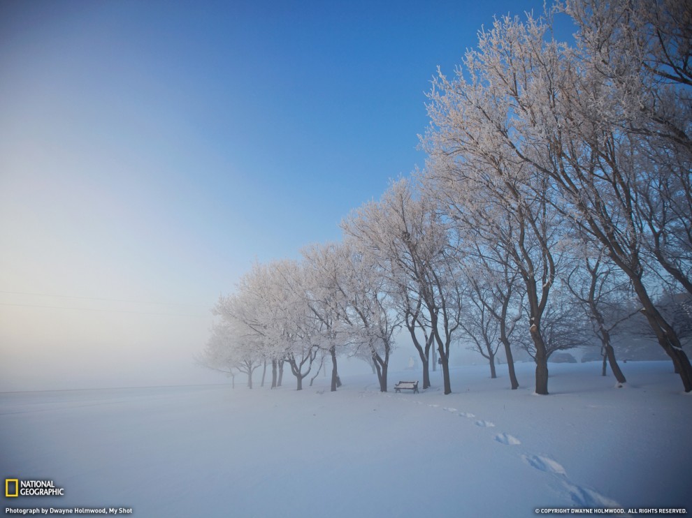  Naional Geographic   2011 (25 )