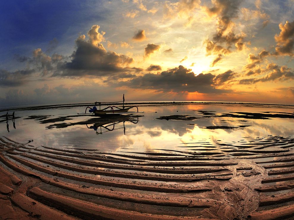  Naional Geographic   2011 (25 )
