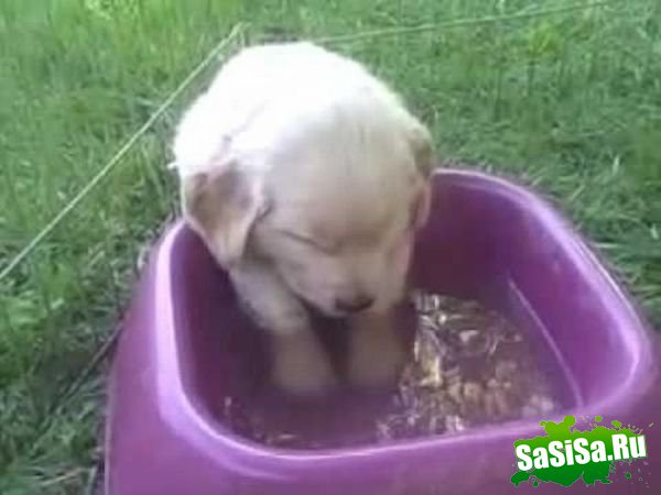 ������ ������ �� ����� ������ ���� (16 ����)
