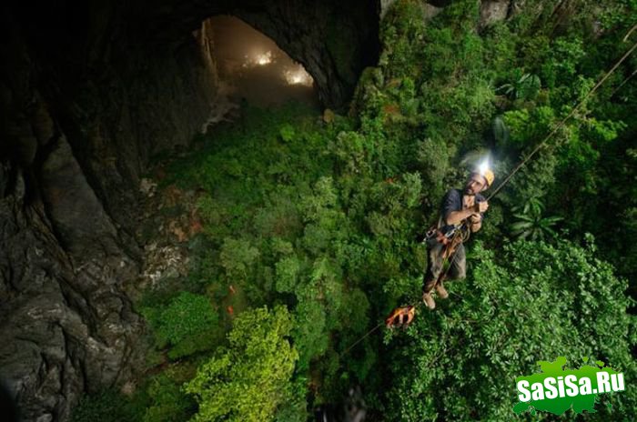   Son Doong (15 )