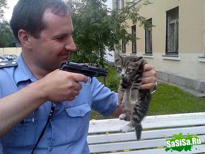 Фотоподборка (дальше в развёрнутом виде)