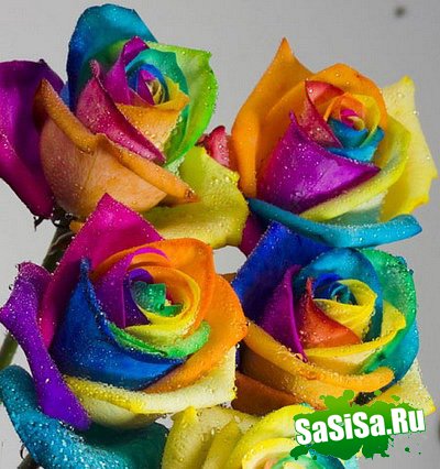 Игрушки из цветов от Duty Free Flowers (5 фото)