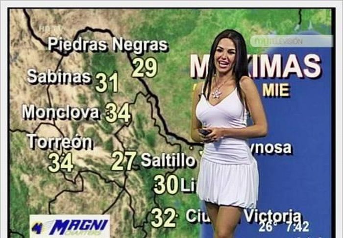           (8 )