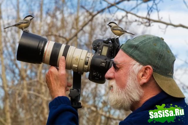 Фотоподборка (дальше в развёрнутом виде)