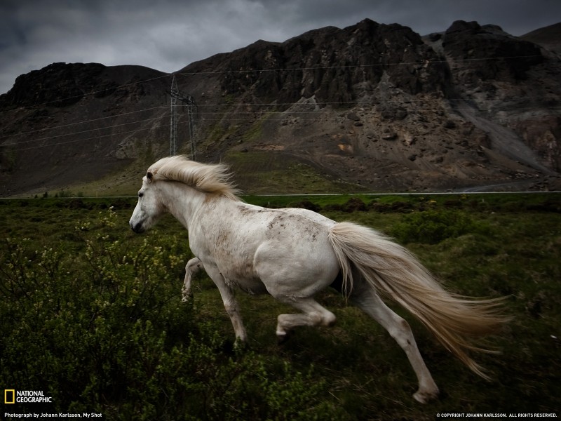 ���� National Geographic �� ������� 2011 (24 ����)