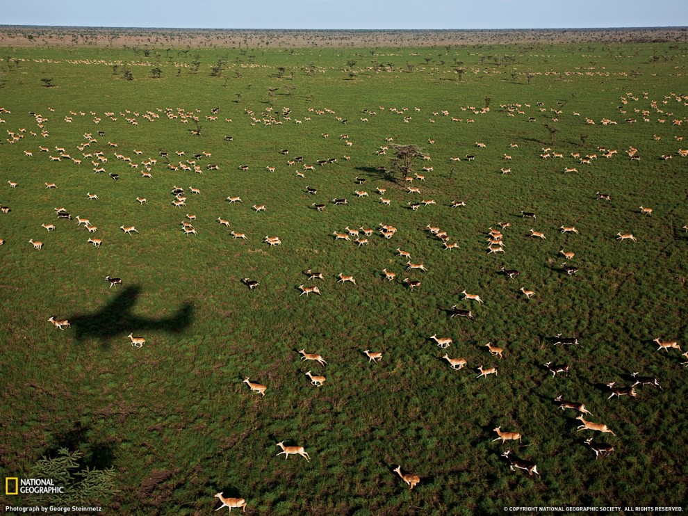 ���� National Geographic �� ������� 2011 (24 ����)