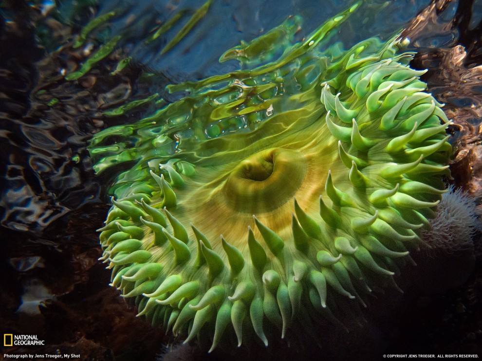 ���� National Geographic �� ������� 2011 (24 ����)