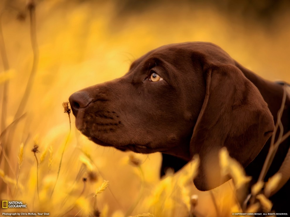 ���� National Geographic �� ������� 2011 (24 ����)