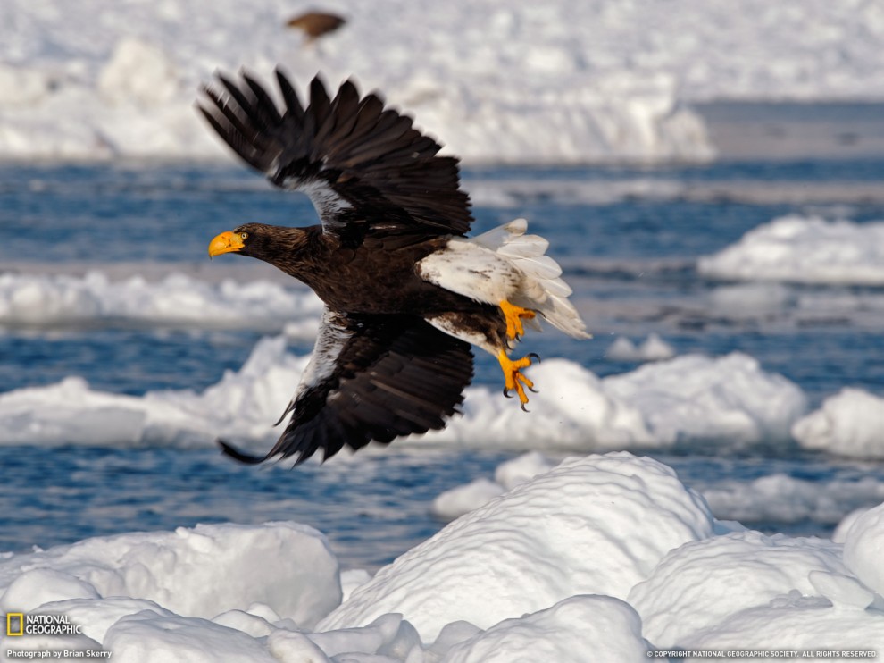 ���� National Geographic �� ������� 2011 (24 ����)