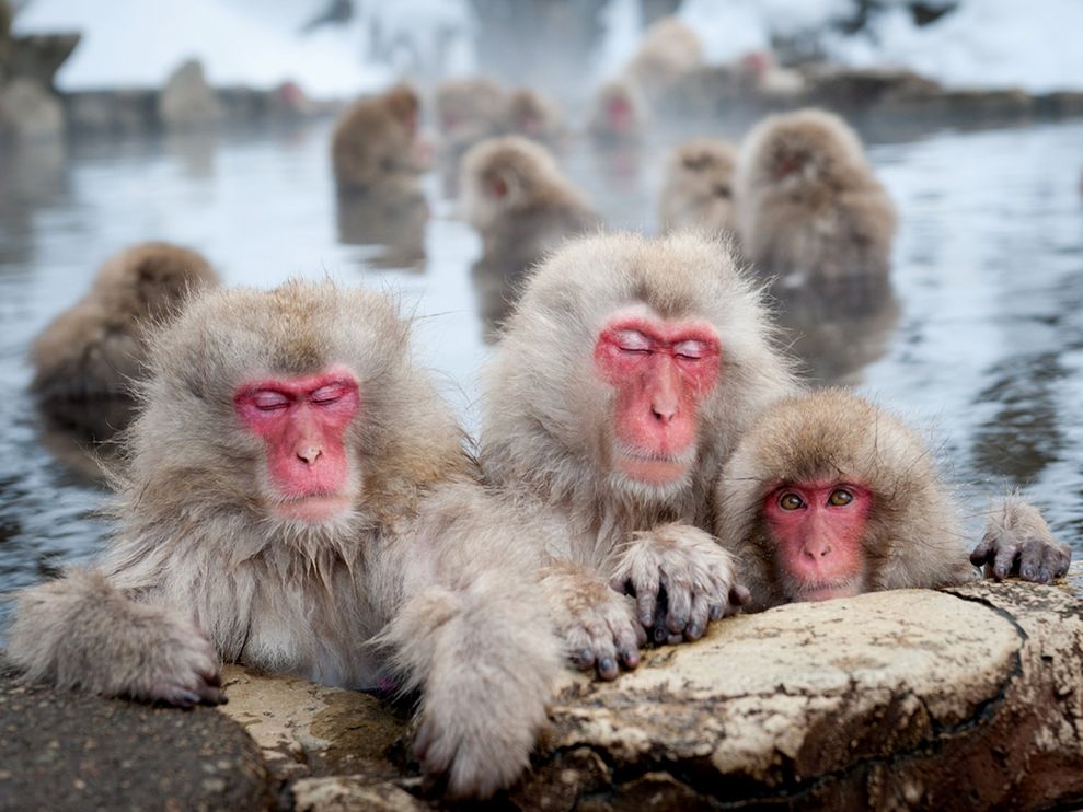 ���� National Geographic �� ������� 2011 (24 ����)