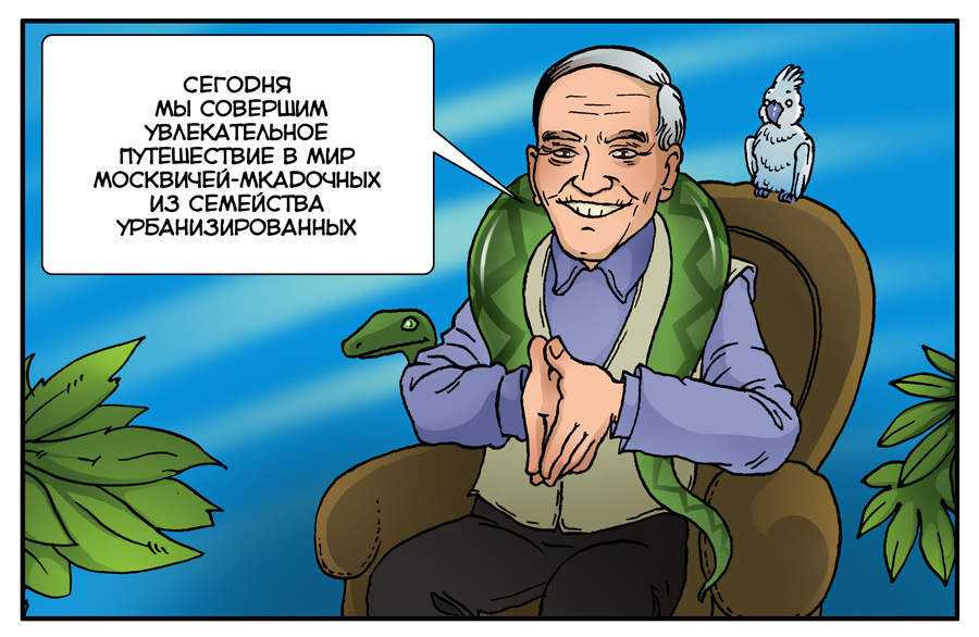 Московское сафари:) (15 фото)