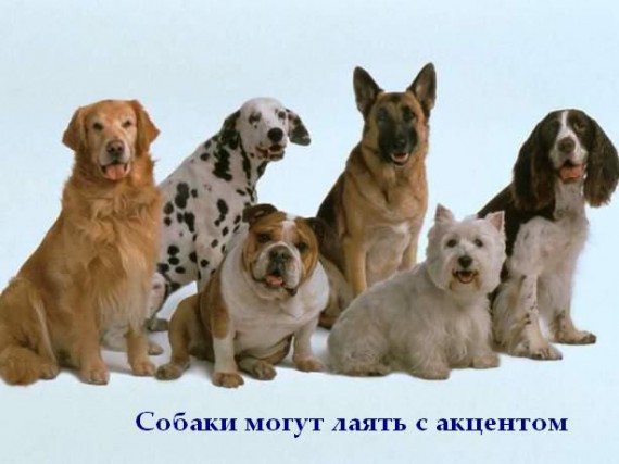 Короткие интересности ... (25 фото)
