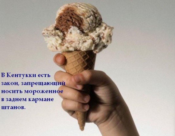 Короткие интересности ... (25 фото)