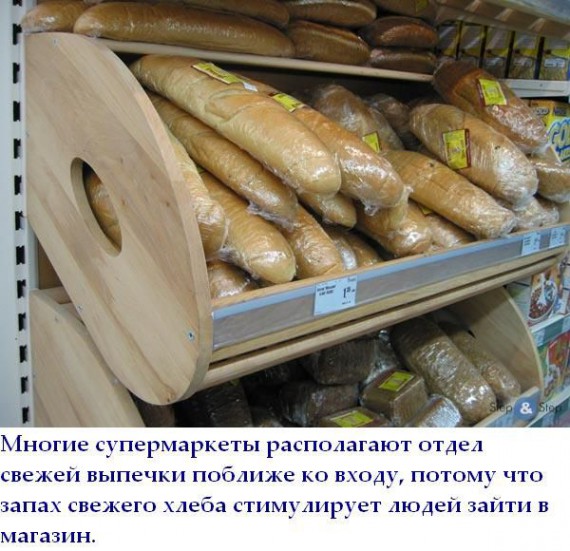 Короткие интересности ... (25 фото)