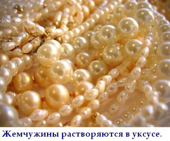 Короткие интересности ... (25 фото)