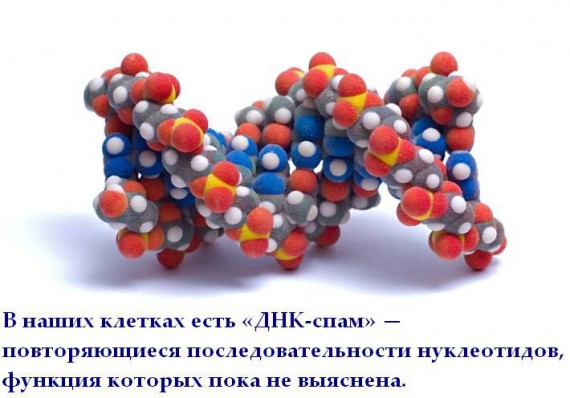 Короткие интересности ... (25 фото)