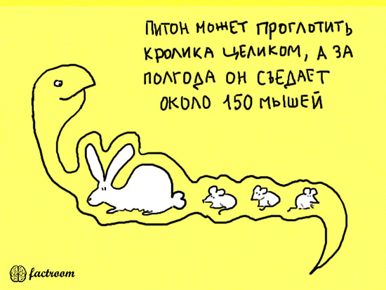 ���������� ����� � ��������� (24 ����)