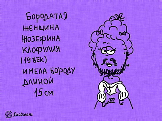 ���������� ����� � ��������� (24 ����)