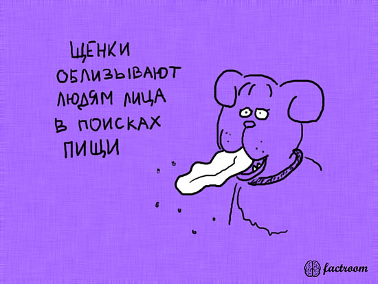 ���������� ����� � ��������� (24 ����)