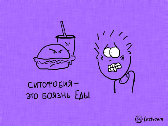 ���������� ����� � ��������� (24 ����)