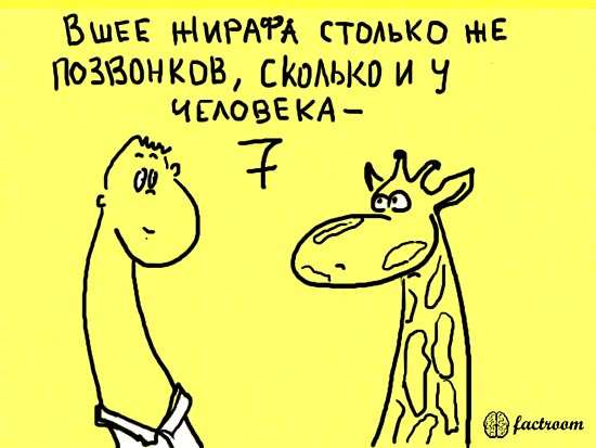 ���������� ����� � ��������� (24 ����)