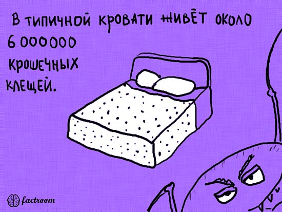 ���������� ����� � ��������� (24 ����)